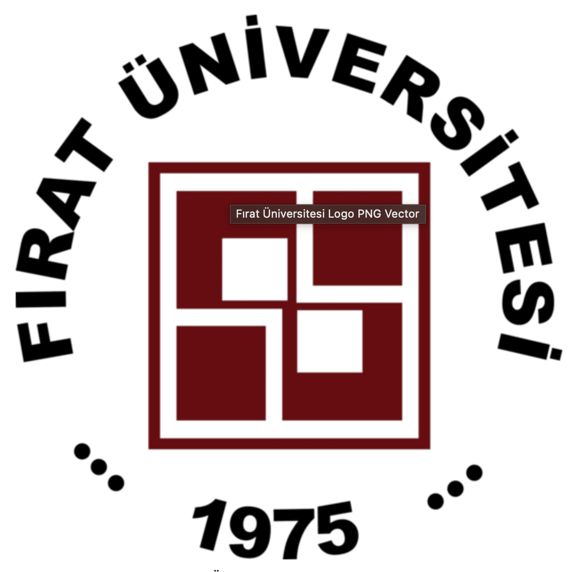 Fotoğraf 1