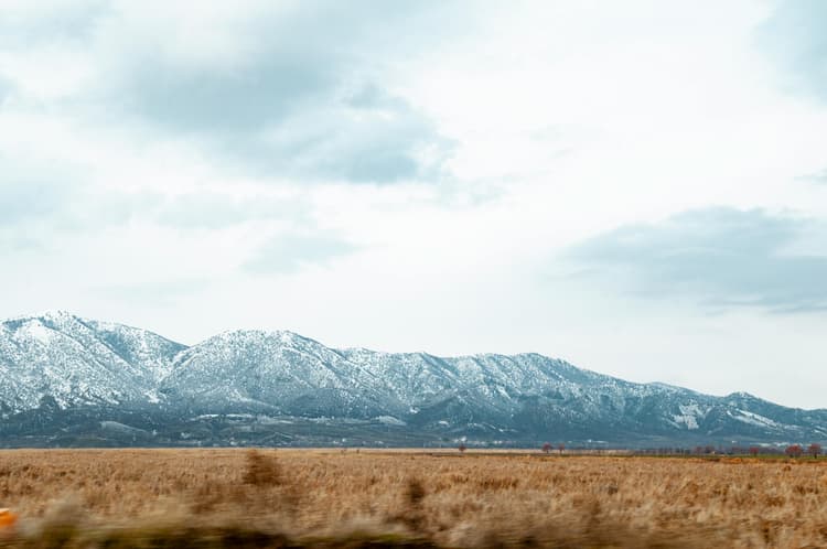 Farklı Zekâ Alanları: Çocuğunuzun Gizli Yeteneği Nerede Saklı? | Eğitim